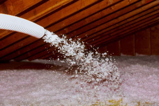 Best Insulation Air Sealing  in Arcola, IL