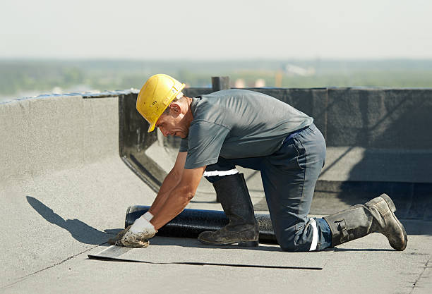 Best Crawl Space Insulation  in Arcola, IL