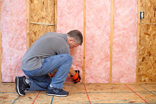 Best Attic Insulation Installation  in Arcola, IL