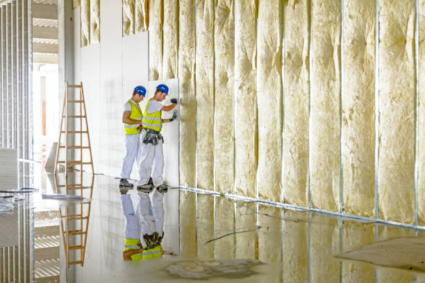 Best Batt and Roll Insulation  in Arcola, IL